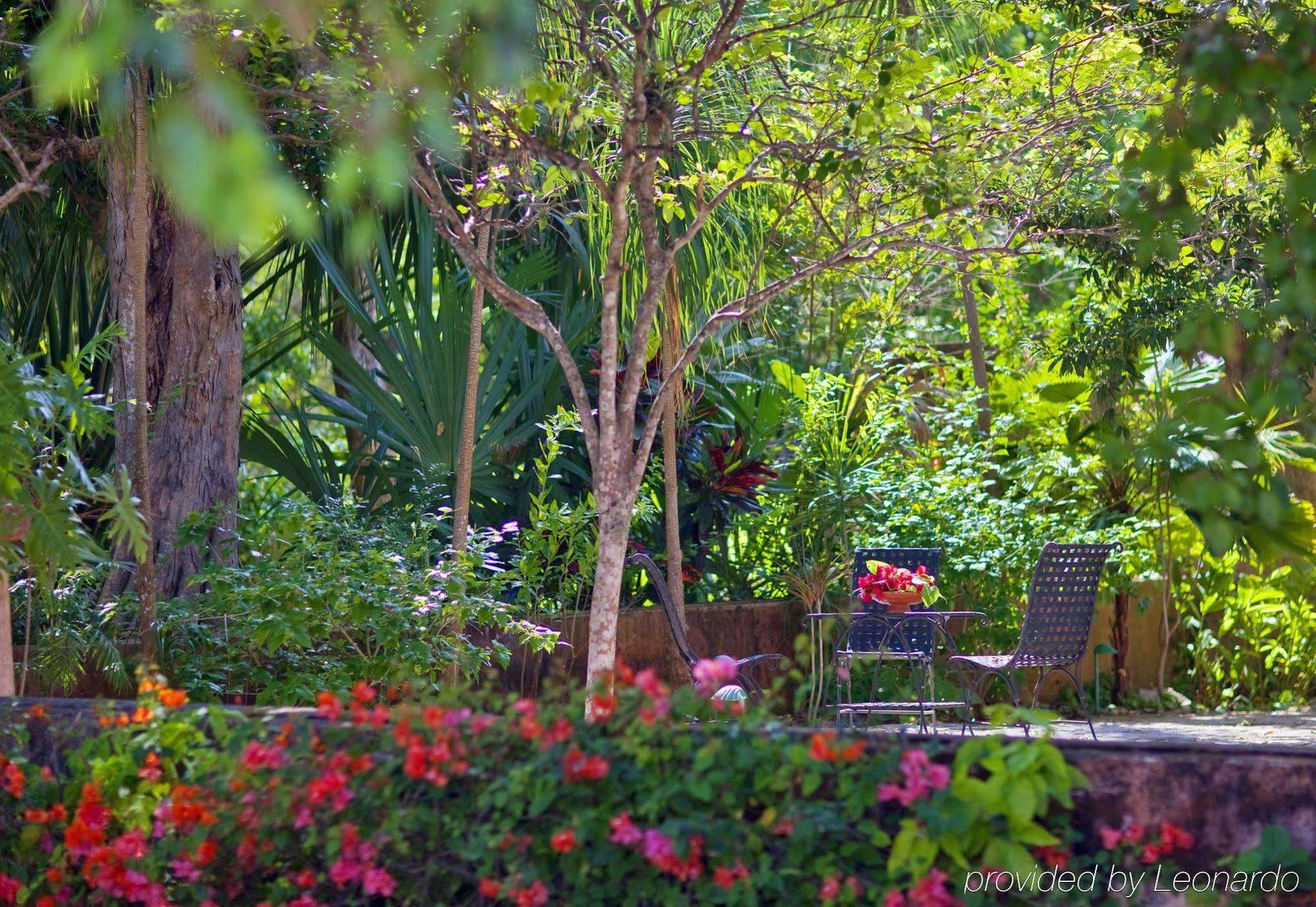 Hacienda Santa Rosa De Lima Hotel Buitenkant foto